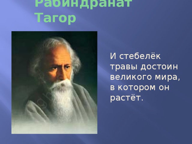 Рабиндранат Тагор И стебелёк травы достоин великого мира, в котором он растёт. 