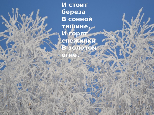 И стоит береза В сонной тишине, И горят снежинки В золотом огне.  Белая береза Под моим окном Принакрылась снегом, Точно серебром . На пушистых ветках Снежною каймой Распустились кисти Белой бахромой. 