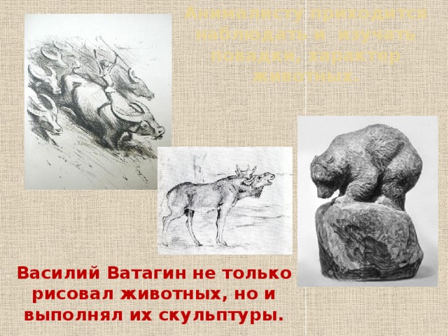 Анималисту приходится наблюдать и изучать повадки, характер животных. Василий Ватагин не только рисовал животных, но и выполнял их скульптуры. 