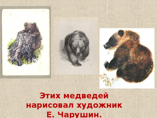 Этих медведей нарисовал художник Е. Чарушин. 