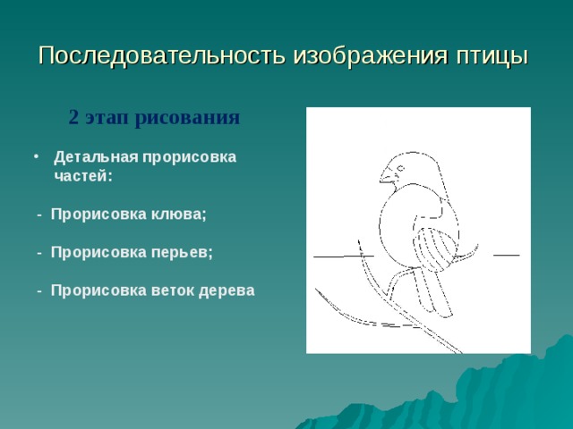 Последовательность образа. Наши друзья птицы 2 класс изо презентация. Последовательность изображенных птиц. Наши друзья птицы изображение и реальность. Наши друзья птицы изо 2 класс.