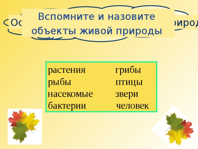 Вспомните и назовите объекты живой природы Осенние изменения в живой природе растения грибы рыбы птицы насекомые звери бактерии человек 