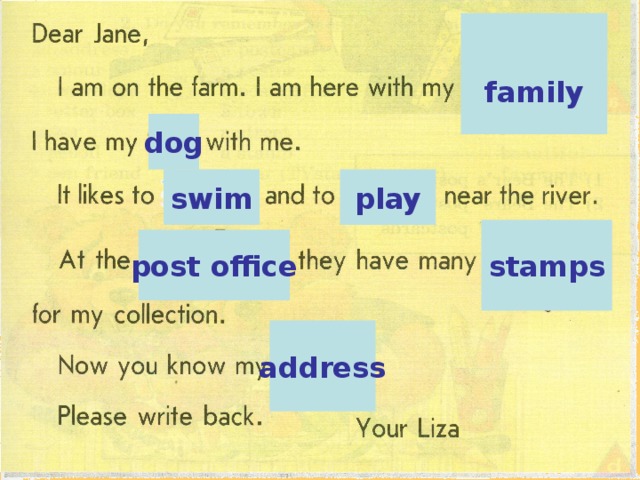 family dog swim play stamps post office address