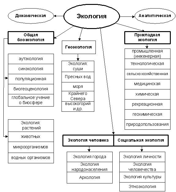 Структура социальной экологии. Структура экологии схема. Составьте схему "структура экологии". Структуры экологии фундаментальные. Составить схему структура экологии.