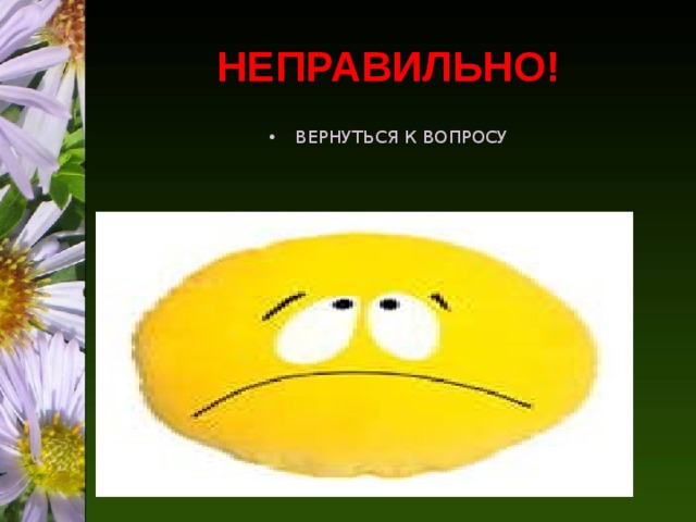 НЕПРАВИЛЬНО! ВЕРНУТЬСЯ К ВОПРОСУ 