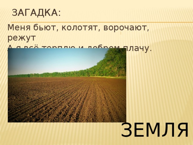 Пословицы о земле и растениях. Загадки о земле кормилице 3 класс окружающий мир. Загадки о почве. Загадки о земле. Загадки и пословицы о земле кормилице.