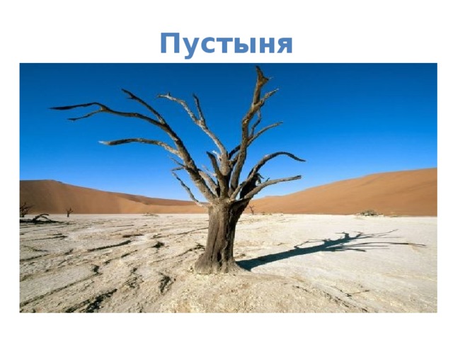 Пустыня 