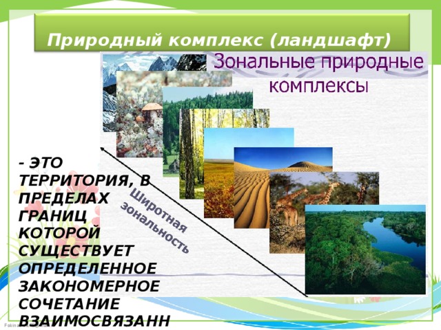 Евразия зональные и азональные природные комплексы. Зональные природные комплексы. Ландшафт природный комплекс это-. Ландшафт природно территориальный комплекс.