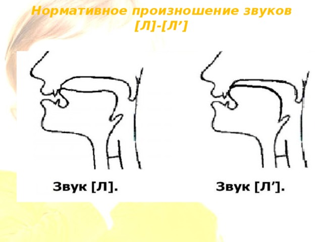 Как произносить. Артикуляция звука л. Произношение звука л. Профиль артикуляции звука л. Правильная артикуляция звука ль.