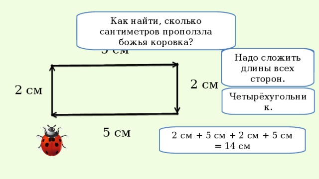 Как найти, сколько сантиметров проползла божья коровка? Начертите путь божьей коровки. 5 см Какая фигура получилась? Надо сложить длины всех сторон. 2 см 2 см Четырёхугольник. 5 см 2 см + 5 см + 2 см + 5 см = 14 см 