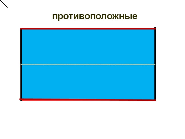 У прямоугольника противоположные