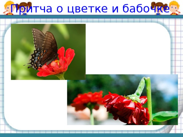 Притча о цветке и бабочке 