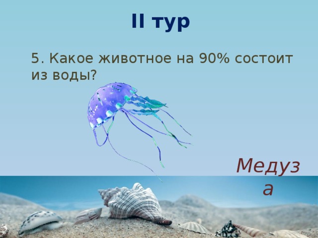 На 90 состоит из. Животное состоящее из воды. На сколько медуза состоит из воды. Какое животное почти на 100% состоит из воды. Сколько процентов воды в Медузе.