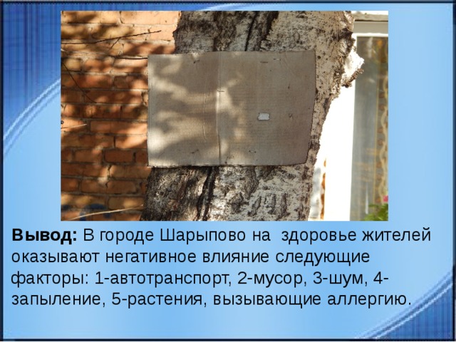 Вывод: В городе Шарыпово на здоровье жителей оказывают негативное влияние следующие факторы: 1-автотранспорт, 2-мусор, 3-шум, 4-запыление, 5-растения, вызывающие аллергию.   