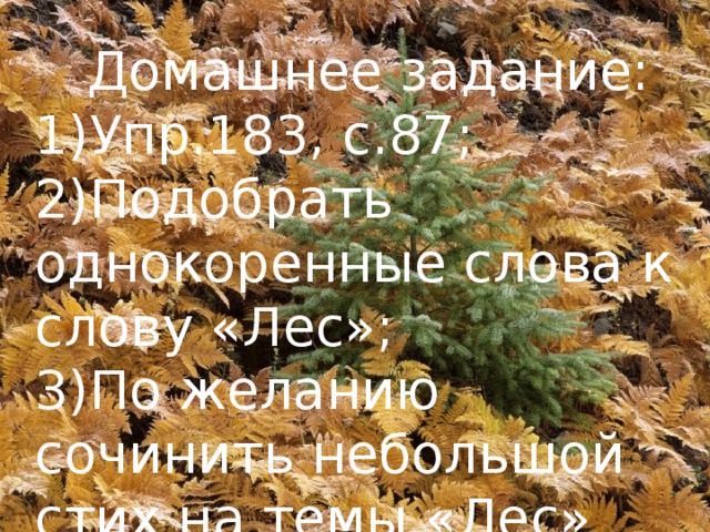 Значение слова лес. Что значит лесистый. Как произошло слово лес. Слово лес. Иллюстрация к рассказу лес лес возьми мою глоть.