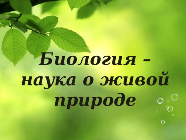 Презентация биология наука о живой природе 6 класс