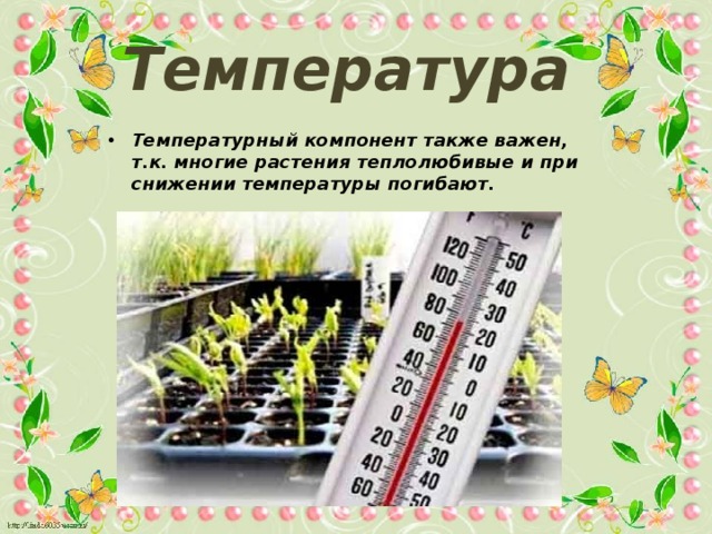 Температура Температурный компонент также важен, т.к. многие растения теплолюбивые и при снижении температуры погибают. 