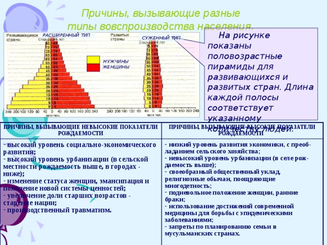 Составьте план описания половозрастной пирамиды населения