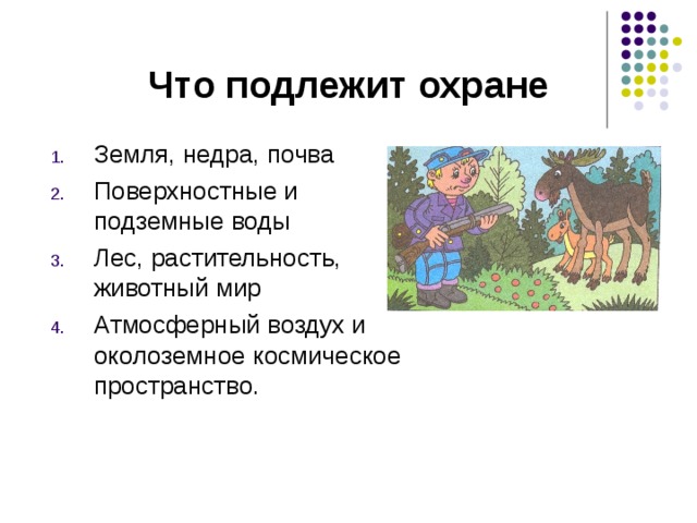 Закон на страже природы 7 класс проект