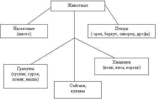 Схема степи питания степи