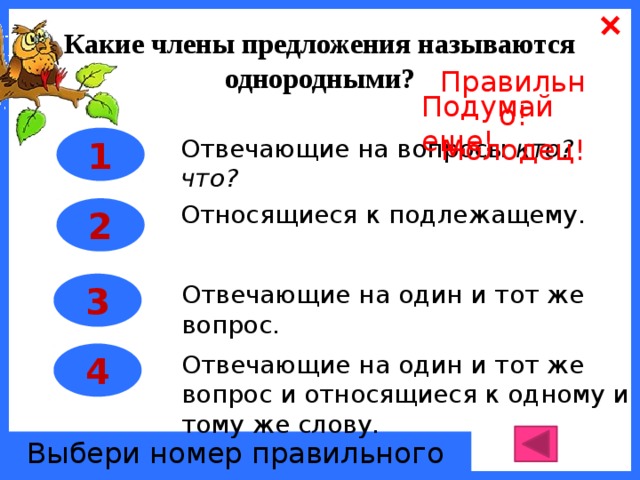 Однородные отвечают на вопрос. На какие вопросы отвечают однородные члены. Однородные члены предложения вопросы. Однородные чл предложения вопросы. Какие есть однородные члены предложения.