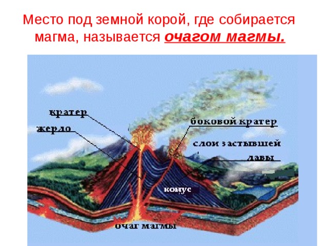 Место под земной корой, где собирается магма, называется очагом магмы.  