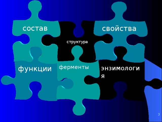 состав свойства структура ферменты энзимология функции    