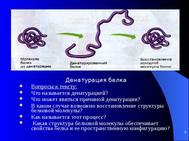 Проект на тему денатурация белка