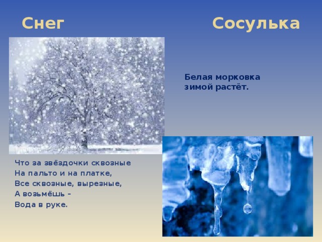 Белая морковка зимой растет ответ. Загадка про сосульку. Загадка про сосульку для детей. Загадки про снег и сосульки. Новогодние загадки про сосульки.