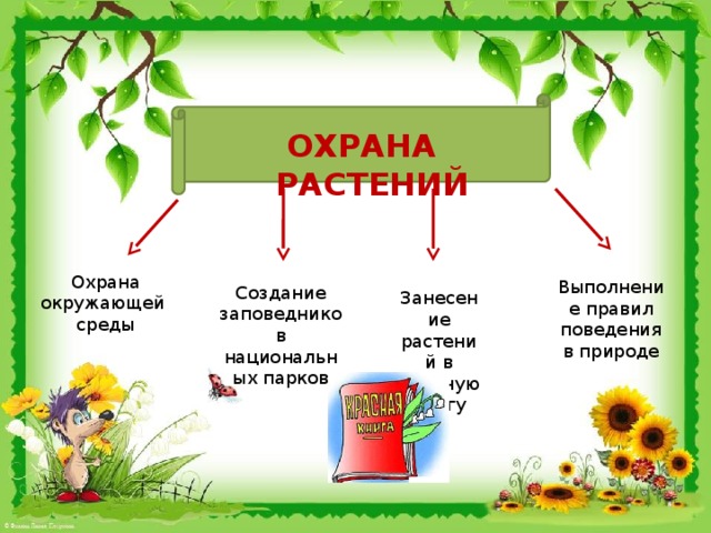 Природа в опасности презентация окружающий мир 2 класс плешаков