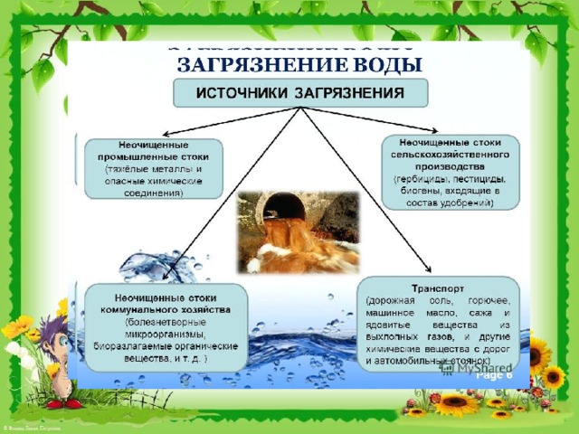 Источники загрязнения воды схема