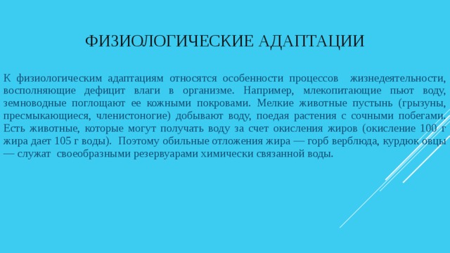 Физиологические адаптации К физиологическим адаптациям относятся особенности процессов жизнедеятельности, восполняющие дефицит влаги в организме. Например, млекопитающие пьют воду, земноводные поглощают ее кожными покровами. Мелкие животные пустынь (грызуны, пресмыкающиеся, членистоногие) добывают воду, поедая растения с сочными побегами. Есть животные, которые могут получать воду за счет окисления жиров (окисление 100 г жира дает 105 г воды). Поэтому обильные отложения жира — горб верблюда, курдюк овцы — служат своеобразными резервуарами химически связанной воды. 