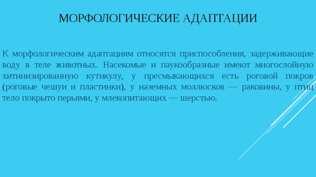 Влажность как экологический фактор презентация