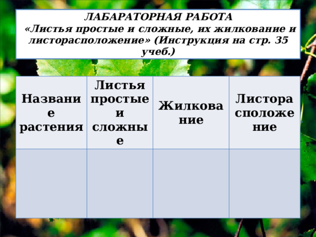 ЛАБАРАТОРНАЯ РАБОТА  «Листья простые и сложные, их жилкование и листорасположение» (Инструкция на стр. 35 учеб.) Название растения Листья простые и сложные Жилкование Листорасположение 