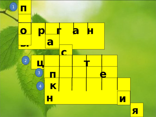п 1  о р г а н ы а  с  ц т 2  п е 3  к н 4 и я 