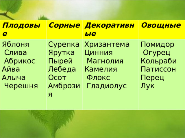 Плодовые Сорные Яблоня  Слива  Абрикос Айва Алыча  Черешня Декоративные Сурепка Ярутка Пырей Лебеда Осот Амброзия Овощные Хризантема Цинния  Магнолия Камелия  Флокс  Гладиолус Помидор  Огурец Кольраби Патиссон Перец Лук 