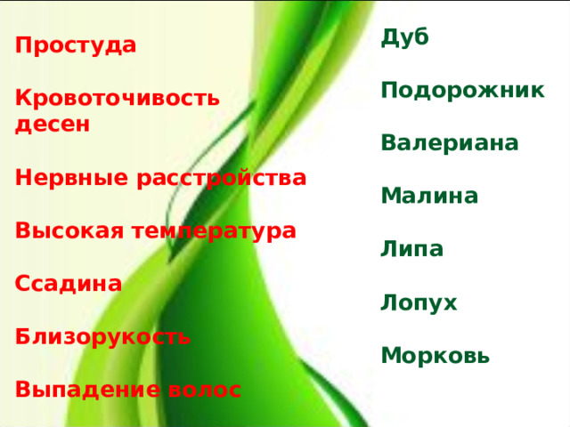 Дуб  Подорожник  Валериана  Малина  Липа  Лопух  Морковь Простуда  Кровоточивость десен  Нервные расстройства  Высокая температура  Ссадина  Близорукость  Выпадение волос 