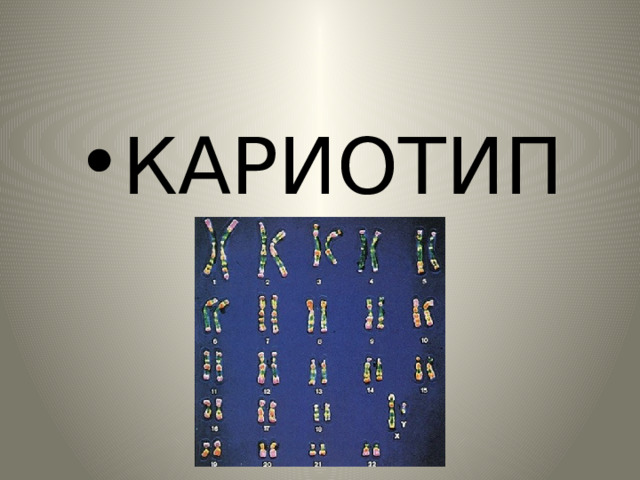 КАРИОТИП 