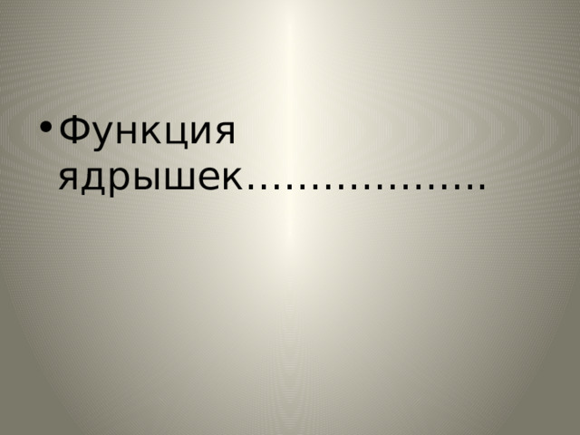 Функция ядрышек………………. 