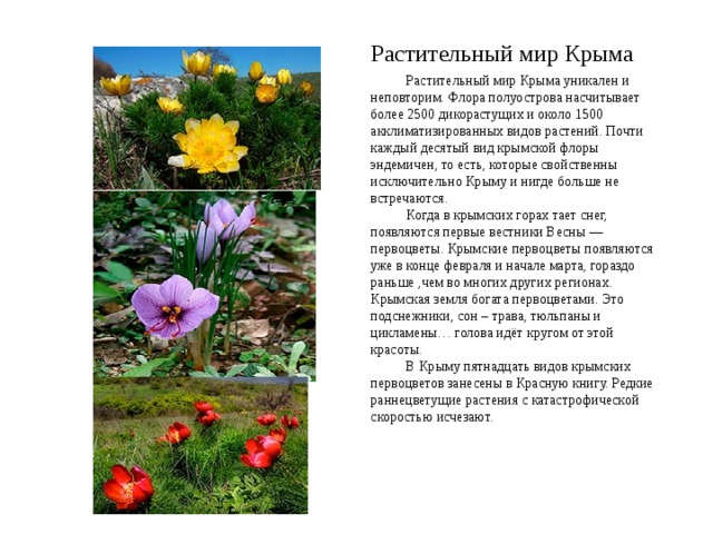 Редкие и исчезающие растения Крыма