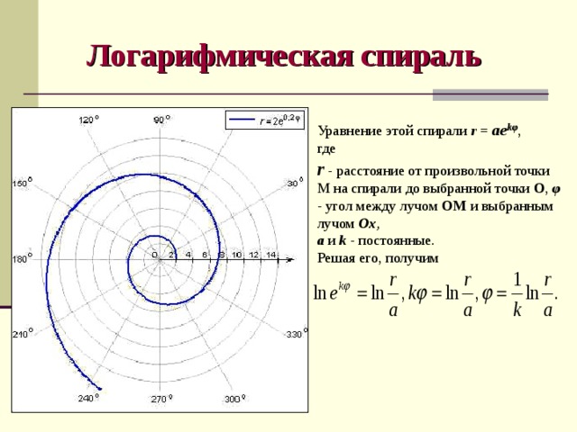 Логарифмическая спираль Уравнение этой спирали r =  ае k φ , где r  - расстояние от произвольной точки М на спирали до выбранной точки О ,  φ - угол между лучом ОМ и выбранным лучом Ох , а  и k  - постоянные. Решая его, получим 