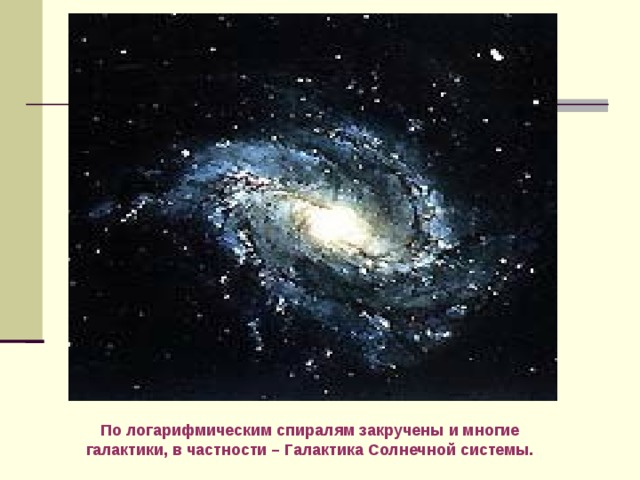 По логарифмическим спиралям закручены и многие галактики, в частности – Галактика Солнечной системы. 