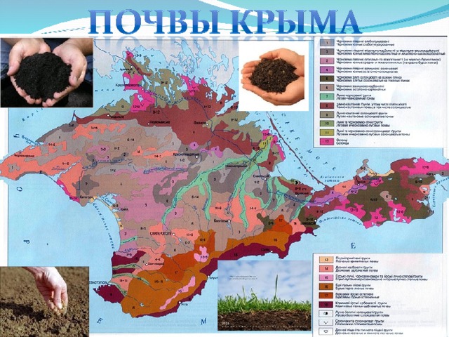 Какие почвы распространены под. Карта почв Крымского полуострова. Карта почв Крыма. Особенности почвы Крыма типы. Почвенная карта Крыма.