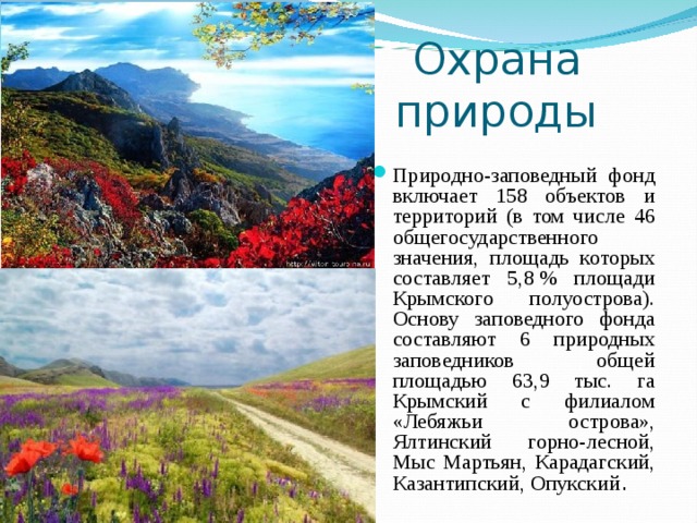 Презентация проекта "Разнообразие природы родного края"
