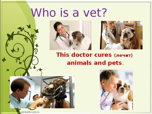 Who is a vet? This doctor cures (лечит) animals and pets . 