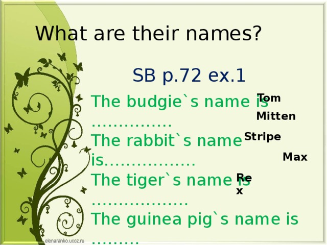 What are their names? SB p.72 ex.1 The budgie`s name is …………… Tom The rabbit`s name is…………….. The tiger`s name is ……………… The guinea pig`s name is ……… The dog`s name is………………... Mitten Stripe Max Rex 