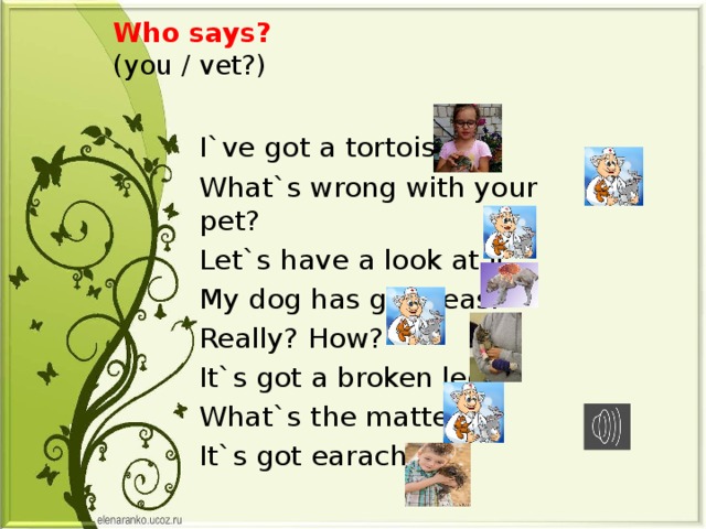 Who says?   (you / vet?) I`ve got a tortoise. What`s wrong with your pet? Let`s have a look at it. My dog has got fleas. Really? How? It`s got a broken leg. What`s the matter? It`s got earache. 