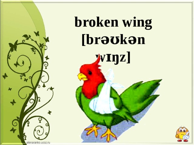 broken wing [brəʊkən wɪŋz] 
