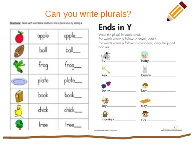 Write the plurals 24 points baby glass. Write in the plural. Write the plurals. Write the plurals перевод. Цкшеу еру здгкфды перевод.