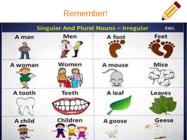 Plural singular nouns 11 класс спотлайт презентация